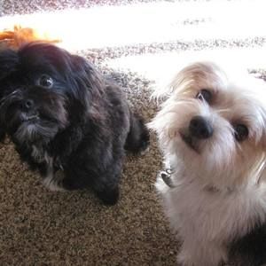 Meet your Posher, Steven